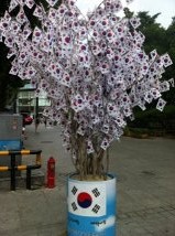 2012 korea flag.jpg